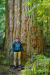 duglaska tisolistá (Pseudotsuga menziesii) - Kanada (foto: Kristian Chalupka)